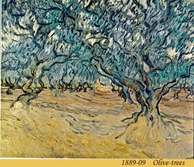 4. Saint -Rmy 1889 -90 - 1889-09 11 - Olive-trees.jpg