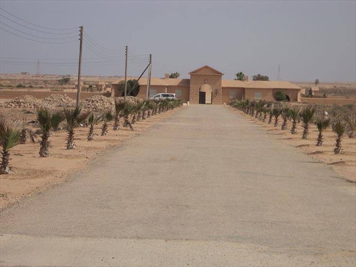 Libia - Commonwealth_cemetery_Tobruk2.JPG