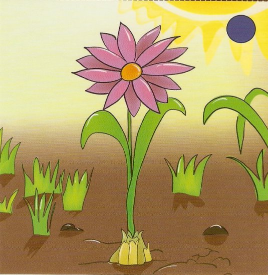 rośliny - kwiatek 5.bmp