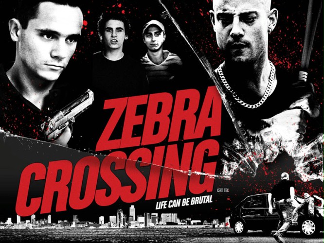 ZWIASTUNY FILMOW - Zebra Crossing 2011 SUBBED.PL.DVDRip.XviD.jpg