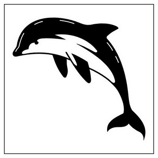 Delfiny - delfin.jpg