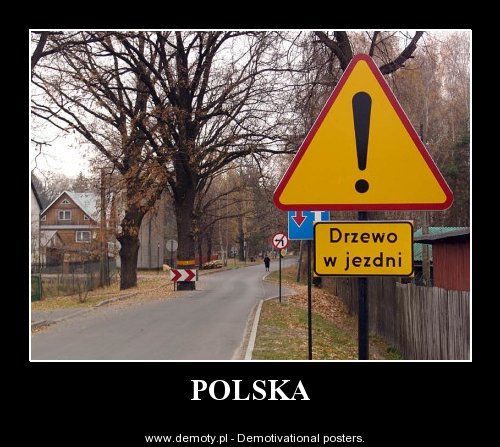 zachomikowane - polska-drzewo.jpg