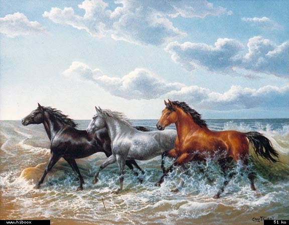 konie - zwierz 133.jpg