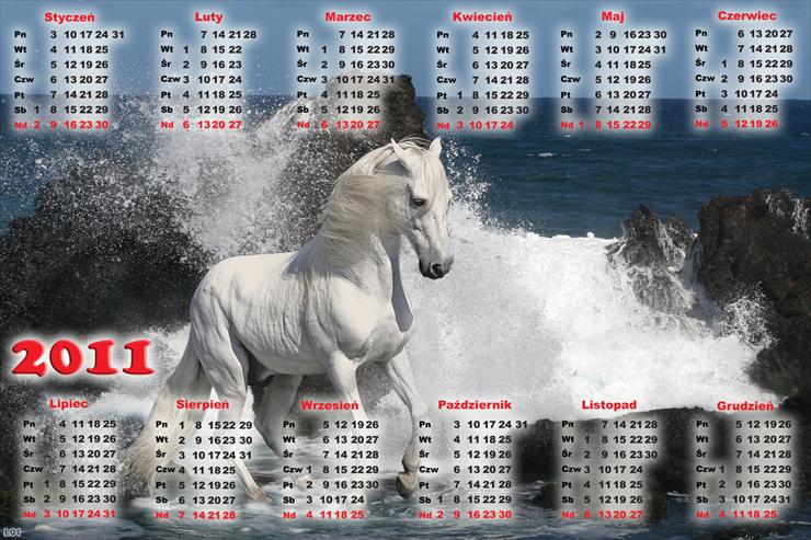 1.Kalendarze 2011r - Kalendarz 2011 koń.png