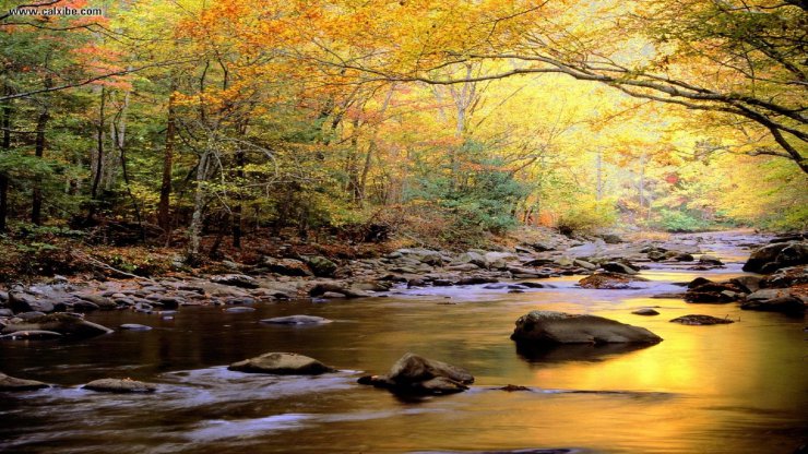 Rzeki - Little_River_in_Autumn_Great_Smoky_Mountains_National_Park_Tennessee_1440x1080.png
