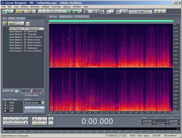 Adobe Audition Spectrum - Track 09.jpg