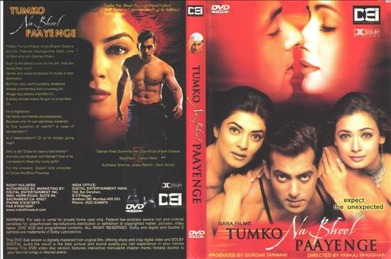 Tumko Na Bhool Paayenge - Tumko Na Bhool Paayenge 2002.jpg