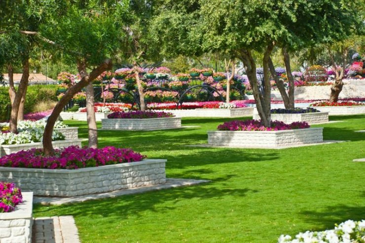 Piękny ogród kwiatowy Al Ain - 26.jpg