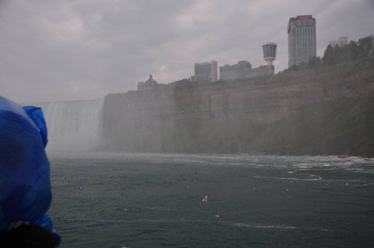 Niagara - DSC41452.jpg