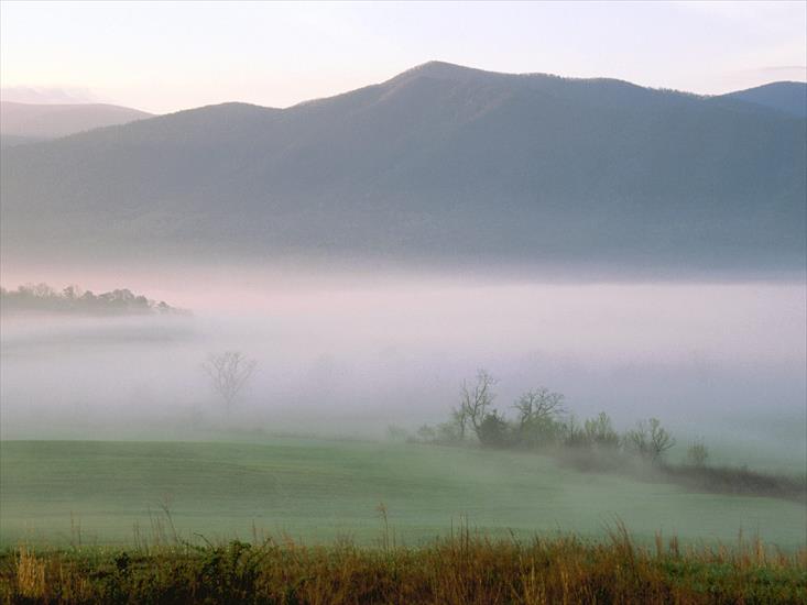 National Park USA Collection - Foggy-Sunrise,-Cades-Cove,-Great-Smoky-Mountains,-Tennessee.jpg