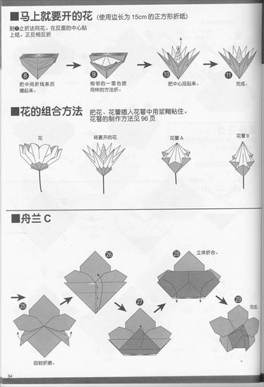 Kwiaty - szablony 16.jpg