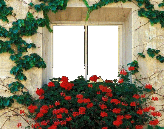 okna - okno1.gif