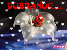 DOBRANOC3 - 2-DOBRANOC-8022.gif