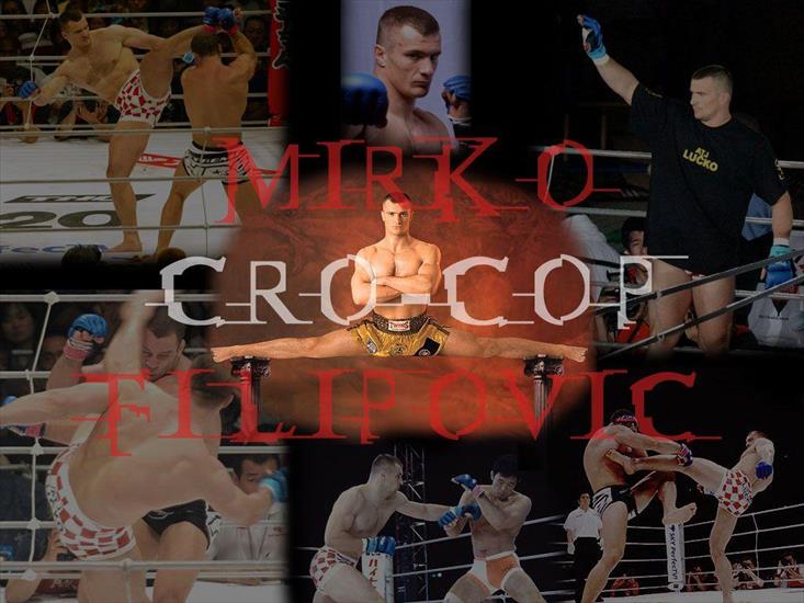 Galeria - Mirko-CroCop-Filipovic-4.jpg