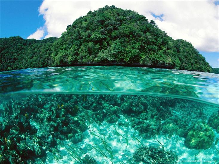 Seas, rivers, lakes  other - Limestone Island, Palau.jpg