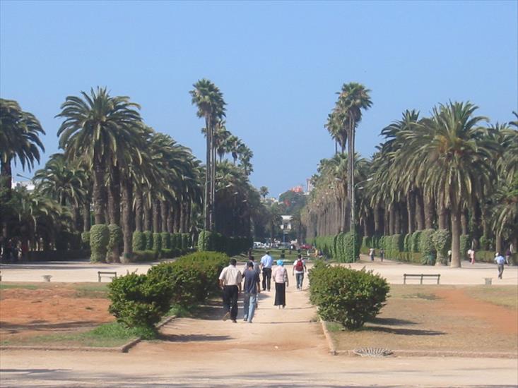 Casablanca - Casablanca_Parc_de_la_Ligue_Arabe.jpg