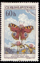 1960 - 1962 - 1305 - 1961.jpg
