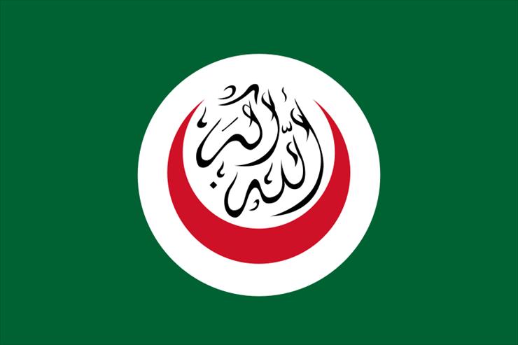 Flagi inne - Organizacja Konferencji Islamskiej.png