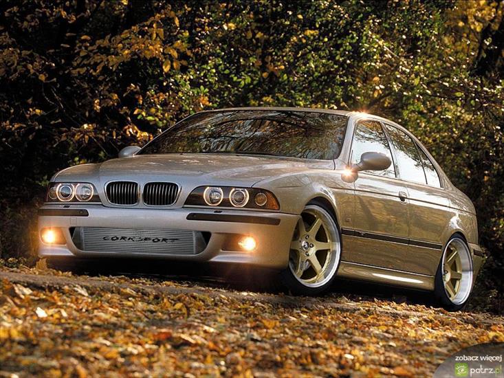 BMW - 391036.jpg