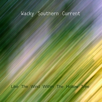 Wacky Southern Current - Like The Wind Within The Hollow Tree - NS021.jpg