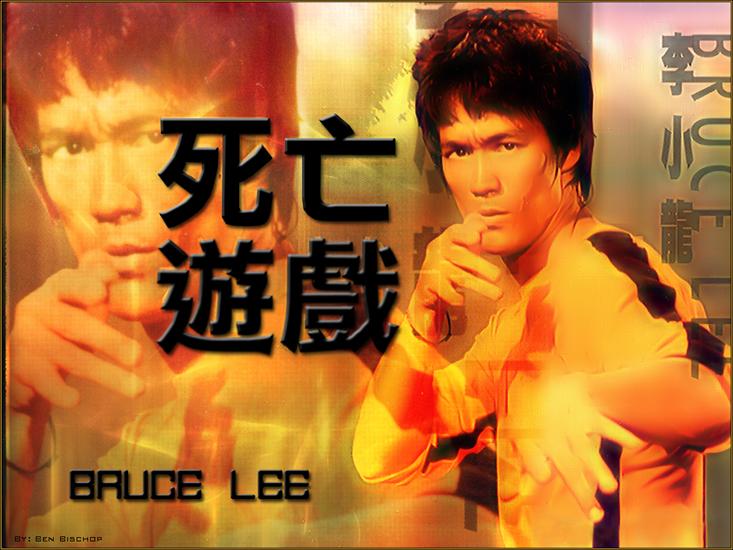 zdjęcia brusli - brucelee026oj.jpg