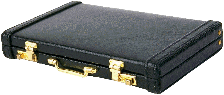 domatorka - briefcase 8 copy1.png