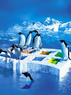 Tapety 240x320 - linux-tux-penguins-ice.jpg