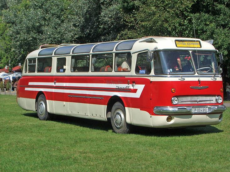 Autobusy - Ikarus 55.jpg