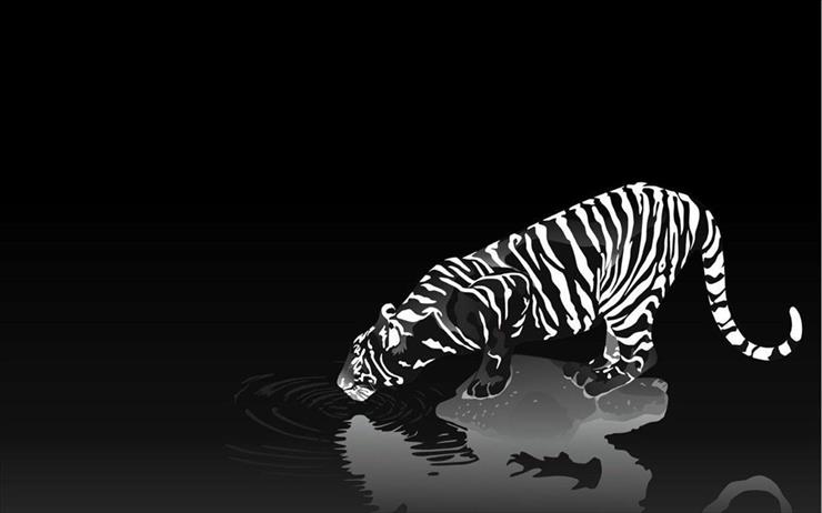 Drapiezne - tygrys.7p.jpg