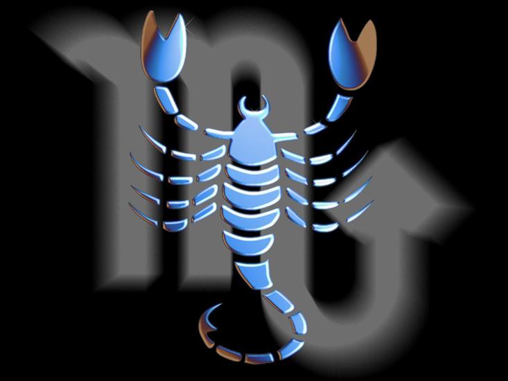 zodiak-symbol - 007 skorpion.jpg