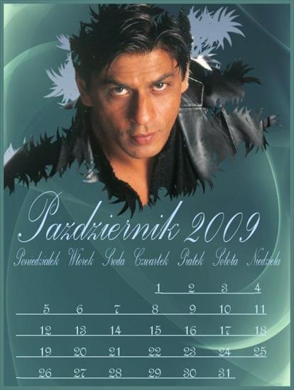 Shah Rukh Khan - 10-2.jpg