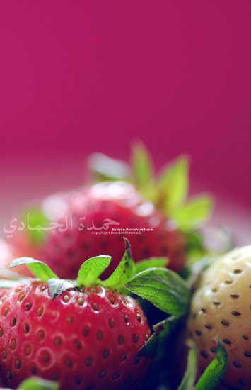 JADAMK - __strawberry___by_bntuae-d46w48p.jpg
