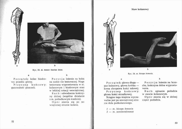 Kinezyterapia. Gimnastyka leczenia - Kazimiera Malinowska - 0000027.jpg