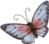 motyle - Butterfly1c1.gif