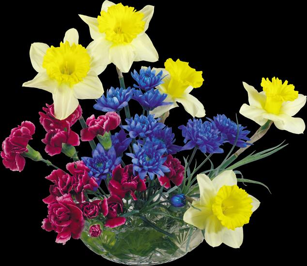 PNG - WIOSENA - KWIATY 2 - Wiosenne kwiaty II 24.png