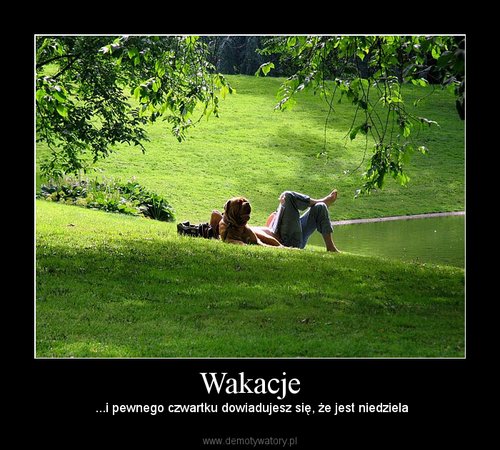 Demoty - Wakacje.jpg