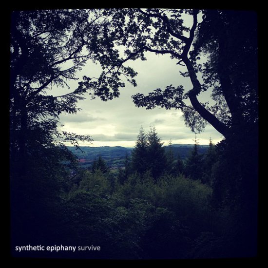 Synthetic Epiphany - Survive 2012 - cover.jpg