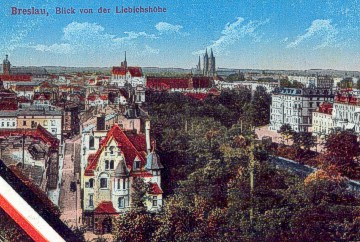 Stadtansichten2 - 1916Blick_v_d_Liebichsh.jpg