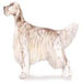 1 - english-setter1.jpg