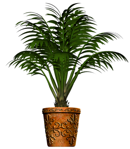 N PNG 4 - Potted Palms_Potted Palm 1_Scrap and Tubes.png