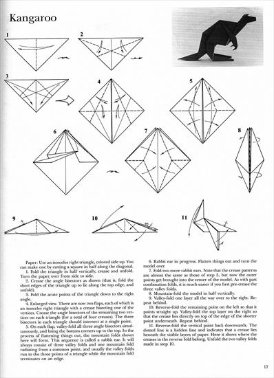 Robert Lang - The complete book of origami - CBOO_017.JPG