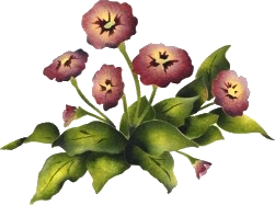 kwiaty bukiety png Chomisia52 - Immagine 6.png