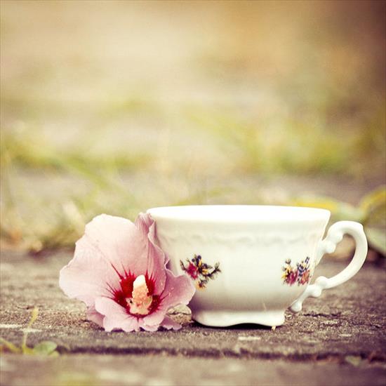 Kawa i herbata - Morning tea1.jpg