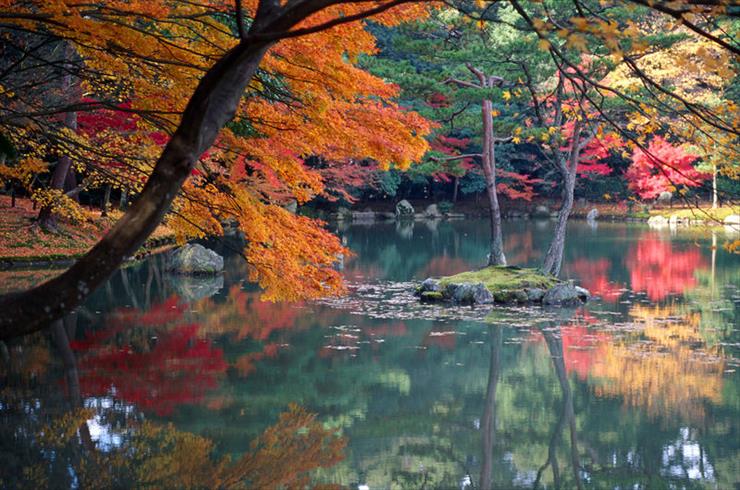 Japan and japanese people1 - 800px-KyotoAutumn1.jpg